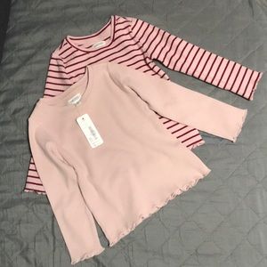 2 Gymboree toddler girls tops.
